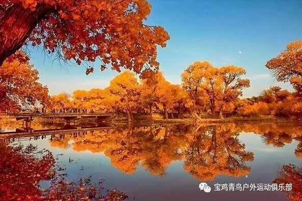 沪江开心词场
